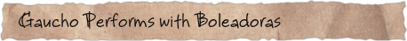 Gaucho Performs with Boleadoras
