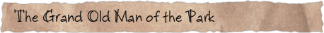 The Grand Old Man of the Park