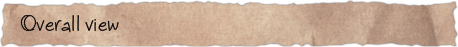 Overall view