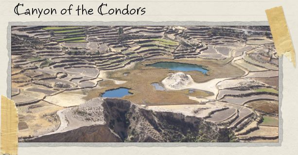 Canyon of the Condors