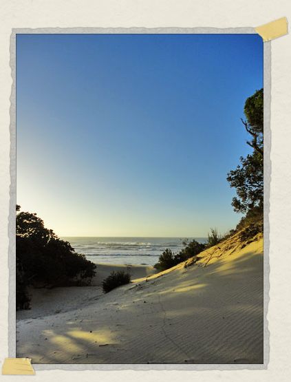 'The Indian Ocean beckons...