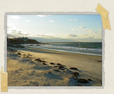 'Sometimes we miss the vibrancy of city life, but every day we love the ocean too much to imagine living anywhere else