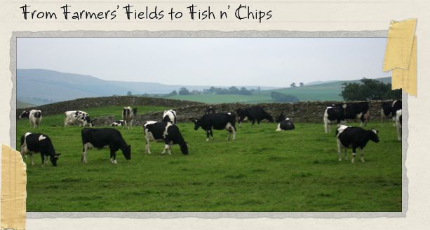 From Farmers' Fields to Fish n' Chips