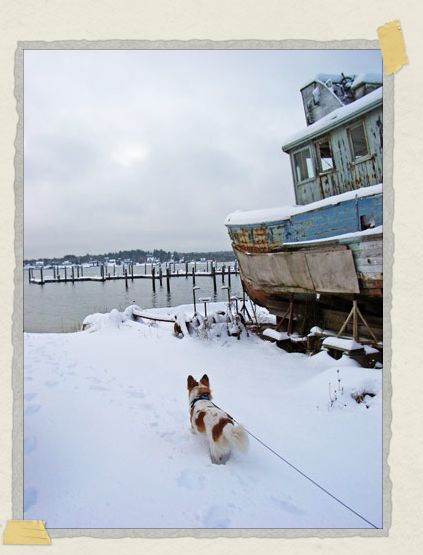 '...and the snow. This is the beach nearby our house which he loved to explore with us.