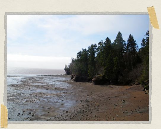 'Low tide!