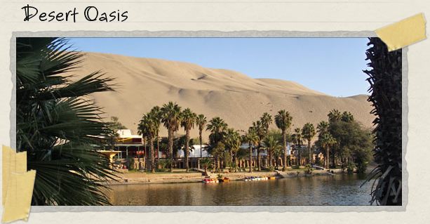 Desert Oasis Desert Oasis
