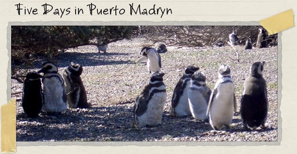 Five Days in Puerto Madryn