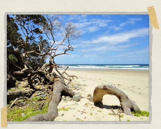 'Walking barefoot along the Wild Coast