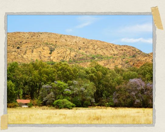 'Rainhill Farm, at the foot of the Magaliesberg Mountains