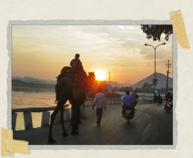 'A camel wades through the sunset traffic in breathtaking Udaipur, Rajasthan