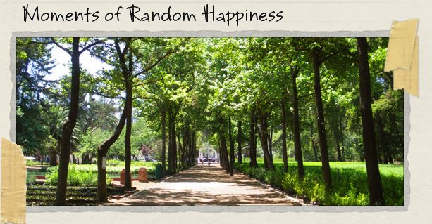 Moments of Random Happiness