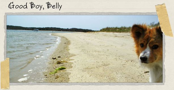 Good Boy, Belly
