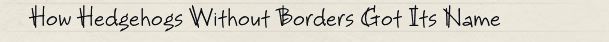 How Hedgehogs Without Borders Got Its Name