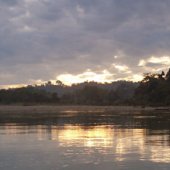 Yachana Lodge: Four Anecdotes