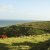 Favorite Photos of the Transkei Big Five