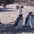 Five Days in Puerto Madryn