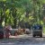 How to Get to the Ellora Caves