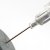 Vaccinations and the Question of Rabies