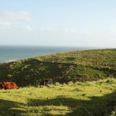 Favorite Photos of the Transkei Big Five