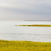 Eight Photos from Cape Cod