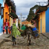 Feeling at Home in Bogota