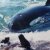 The Orcas of Peninsula Valdes