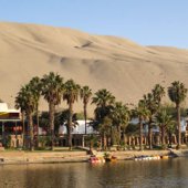 Desert Oasis