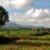 Jumbo 1: The Scenic Route