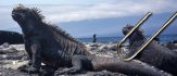 Eleven of our Favorite Galapagos Photos