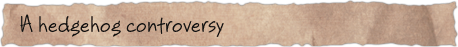 A hedgehog controversy