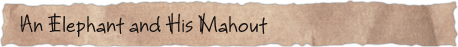 An Elephant and His Mahout