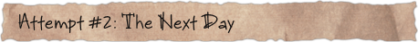 Attempt #2: The Next Day