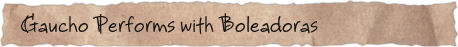 Gaucho Performs with Boleadoras
