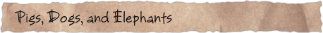 Pigs, Dogs, and Elephants