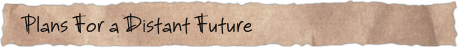 Plans For a Distant Future