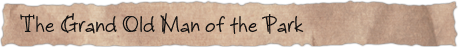 The Grand Old Man of the Park