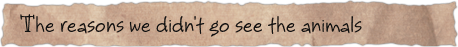 The reasons we didn