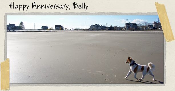 Happy Anniversary, Belly