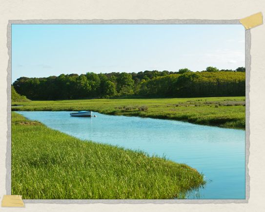 'We just happened to come across this little river on our drive. Isn't it absolutely picturesque?