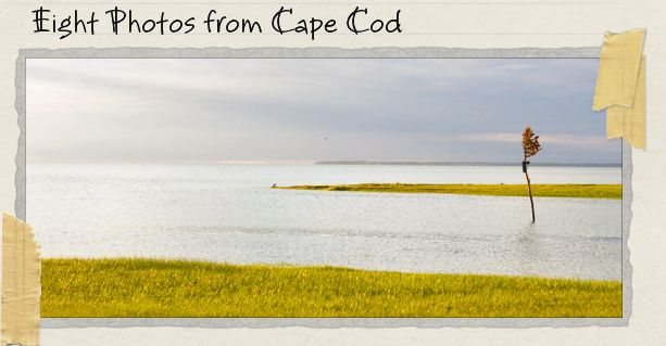 Eight Photos from Cape Cod