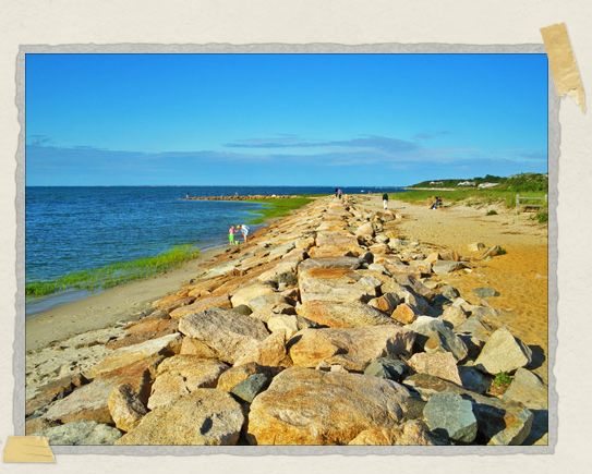 'Even man-made things on the Cape are gorgeous