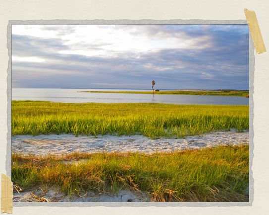 'We came to this beach during magic hour, and the colors of the grass and the sky were surreal.