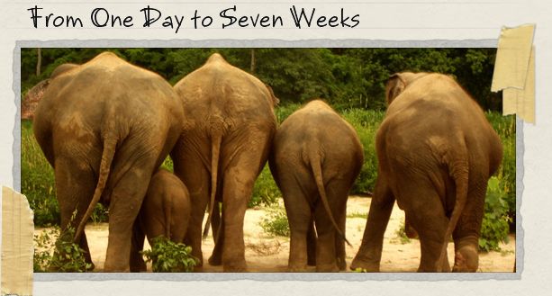 From One Day to Seven Weeks