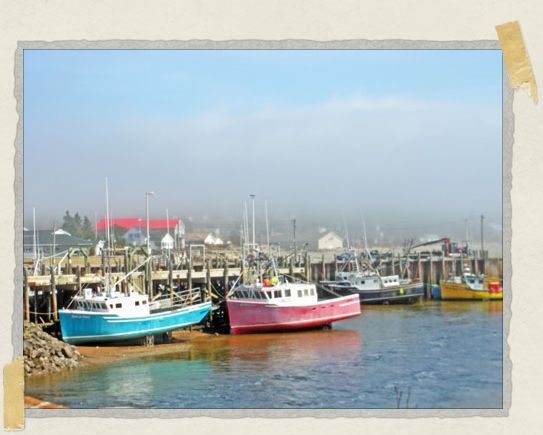'This photo was taken at low tide – you can tell because the boats are on the ocean floor. Neat, eh?