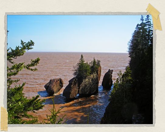 'Reportedly the Hopewell Rocks have the world record for the highest average tides found anywhere, reaching upward of 46 feet...
