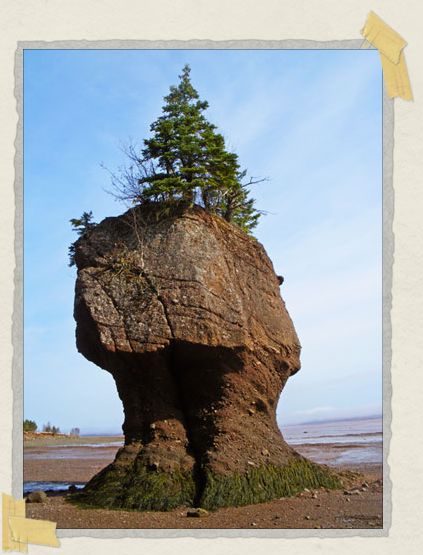 'This rock will be more than halfway submerged during high tide.