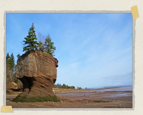 'The ever-clever Canadians call these rock formations flower pots since, well, that's kind of what they look like with all the trees and plants and what not sprouting off their tops