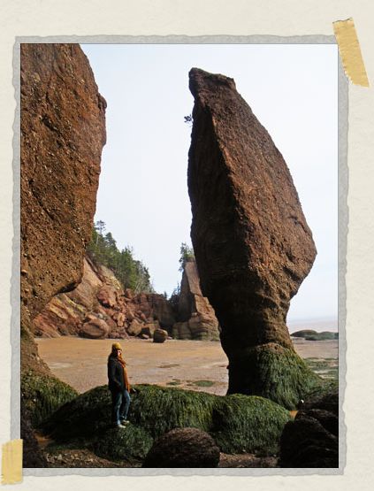 'During low tide you can explore the ocean floor, climbing through tunnels and between the flower pots that have been carved by the ocean over thousands of years.