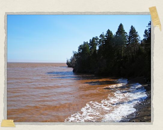 'High tide!
