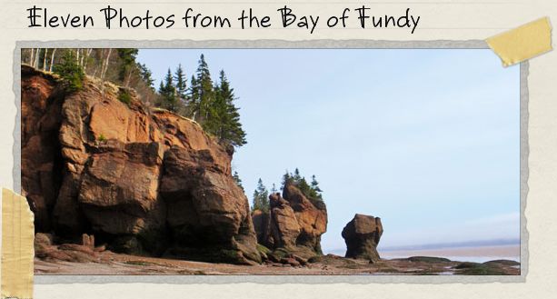 Eleven Photos from the Bay of Fundy